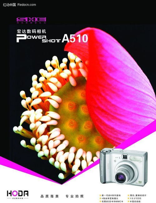 捕捉每一個精彩瞬間——新一代數(shù)碼相機，開啟攝影新紀元